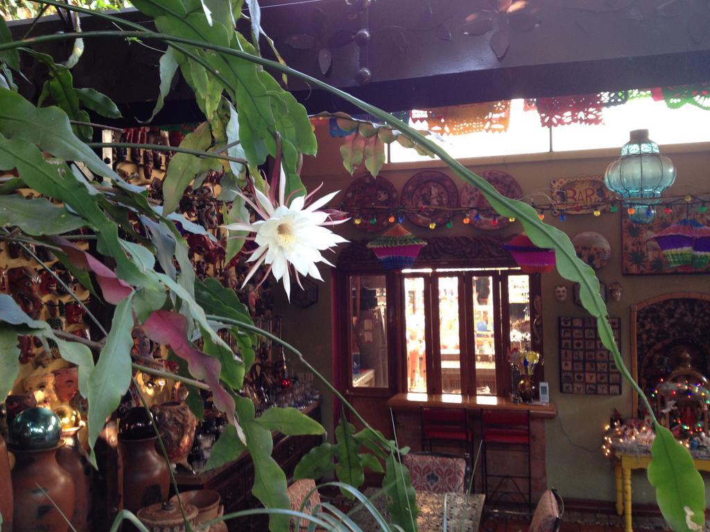 Bed and Breakfast Casa De Las Flores Tlaquepaque Exteriér fotografie