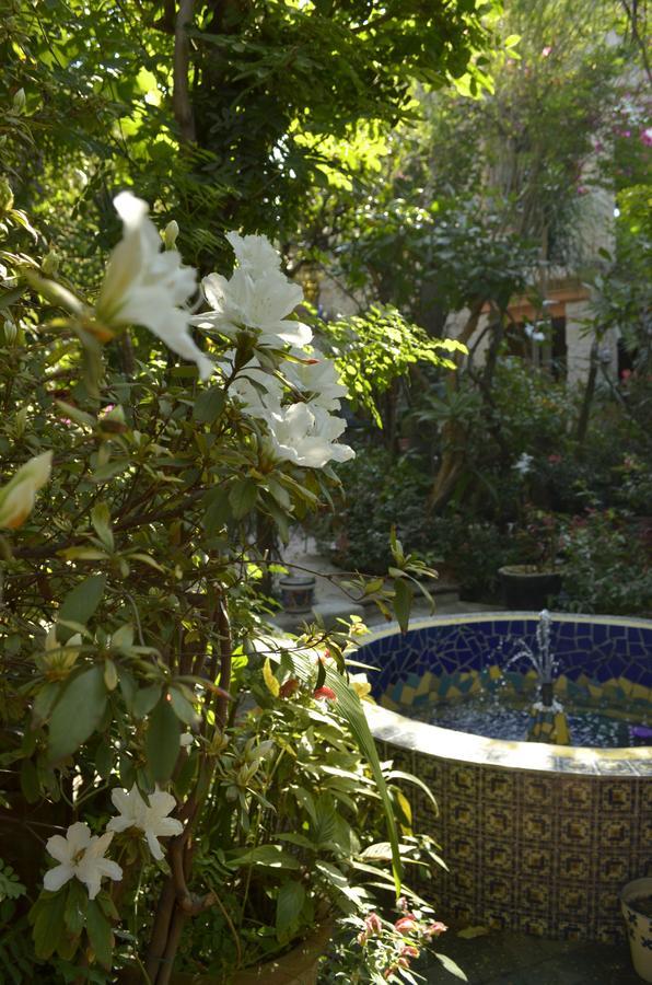 Bed and Breakfast Casa De Las Flores Tlaquepaque Exteriér fotografie