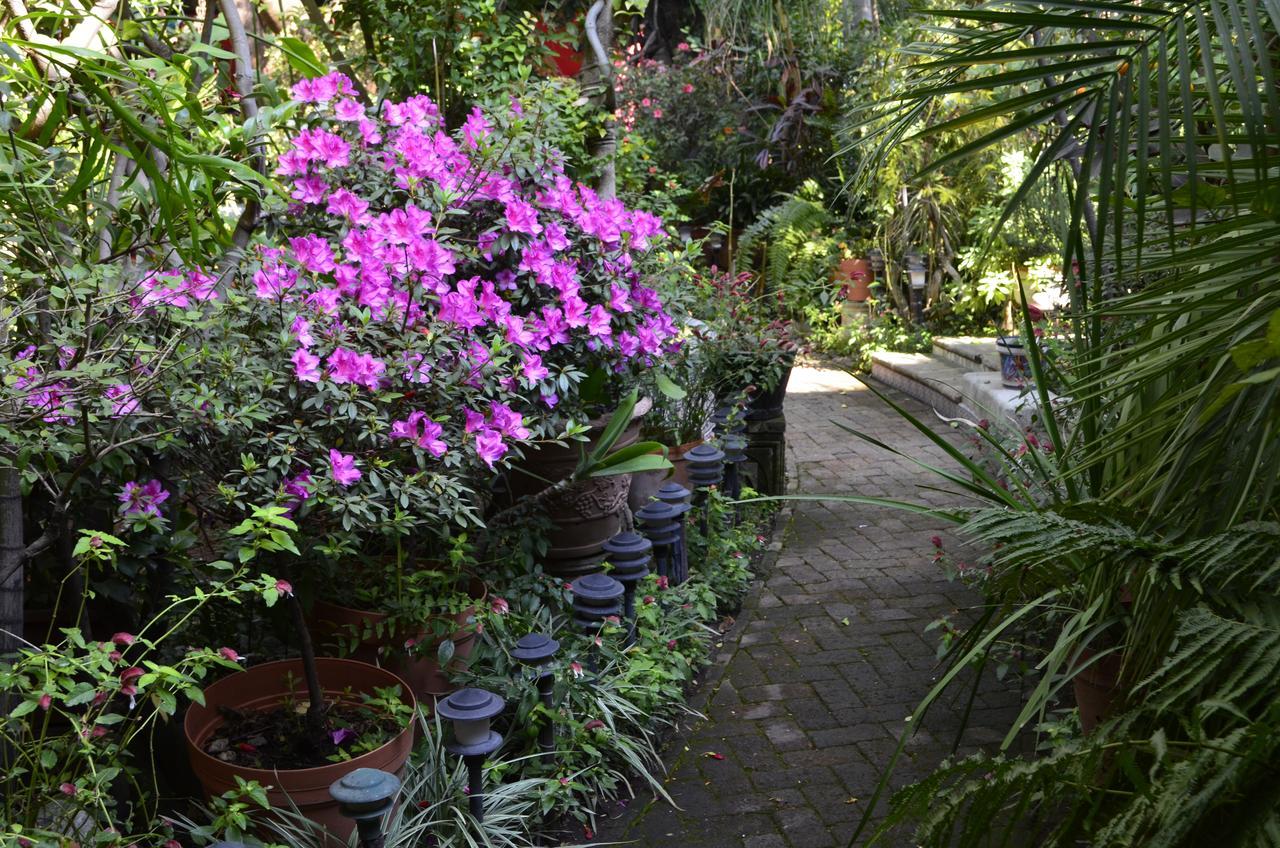 Bed and Breakfast Casa De Las Flores Tlaquepaque Exteriér fotografie